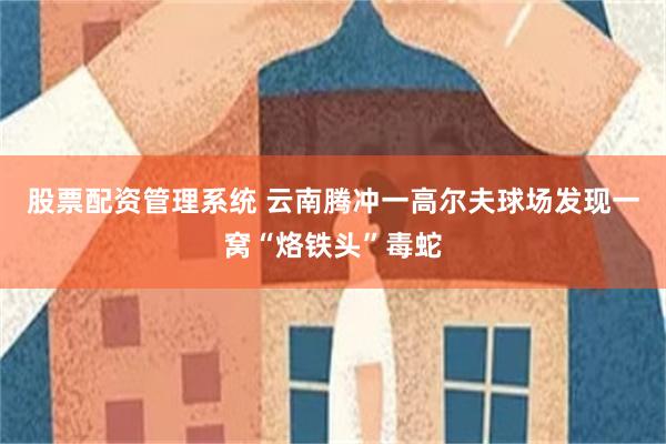 股票配资管理系统 云南腾冲一高尔夫球场发现一窝“烙铁头”毒蛇