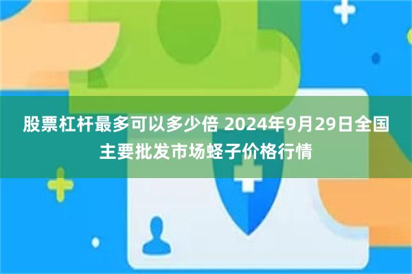 股票杠杆最多可以多少倍 2024年9月29日全国主要批发市场蛏子价格行情