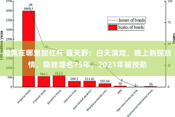 股票在哪里加杠杆 蓝天野：白天演戏，晚上刺探敌情，隐姓埋名75年，2021年被授勋