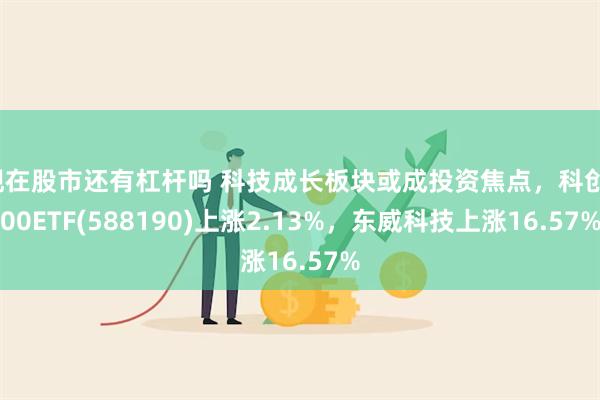 现在股市还有杠杆吗 科技成长板块或成投资焦点，科创100ETF(588190)上涨2.13%，东威科技上涨16.57%