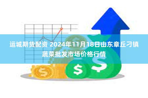 运城期货配资 2024年11月18日山东章丘刁镇蔬菜批发市场