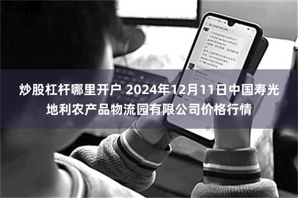 炒股杠杆哪里开户 2024年12月11日中国寿光地利农产品物流园有限公司价格行情