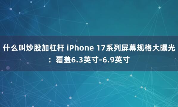 什么叫炒股加杠杆 iPhone 17系列屏幕规格大曝光：覆盖6.3英寸-6.9英寸