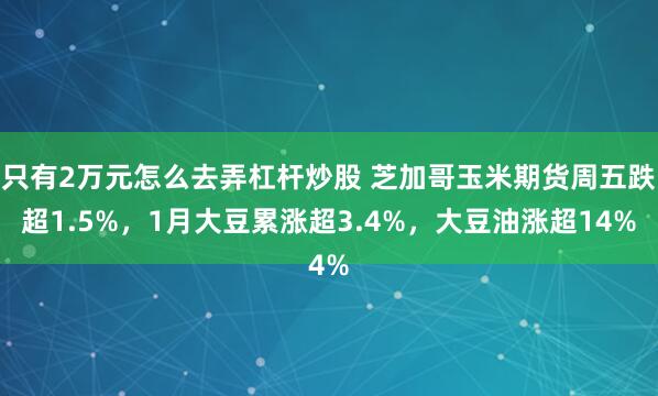 只有2万元怎么去弄杠杆炒股 芝加哥玉米期货周五跌超1.5%，1月大豆累涨超3.4%，大豆油涨超14%