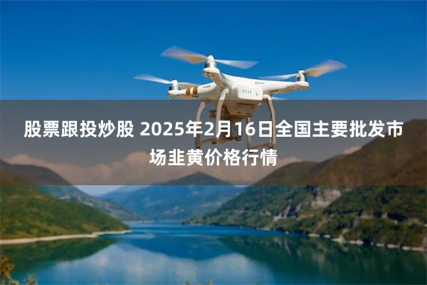 股票跟投炒股 2025年2月16日全国主要批发市场韭黄价格行情