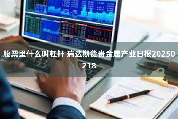 股票里什么叫杠杆 瑞达期货贵金属产业日报20250218