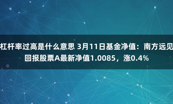 杠杆率过高是什么意思 3月11日基金净值：南方远见回报股票A最新净值1.0085，涨0.4%